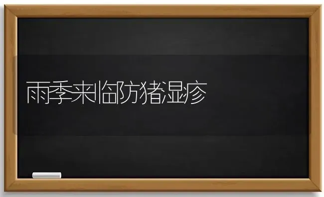 冬季棚菜要高产 保温施肥很关键 | 种植肥料施肥