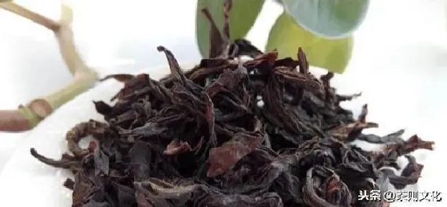 植物泡水|红茶包括哪些茶叶品种（正宗的红茶排行榜前10名）