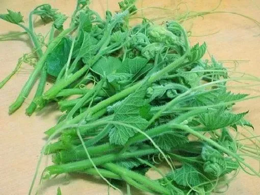 功效常识|南瓜须的功效与作用及食用方法