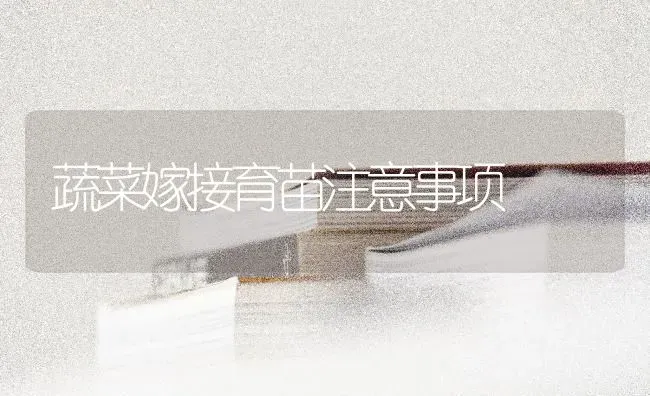 蔬菜嫁接育苗注意事项 | 蔬菜种植