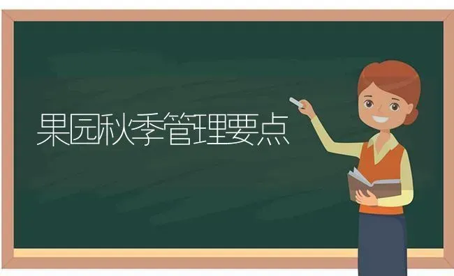 果园秋季管理要点 | 瓜果种植