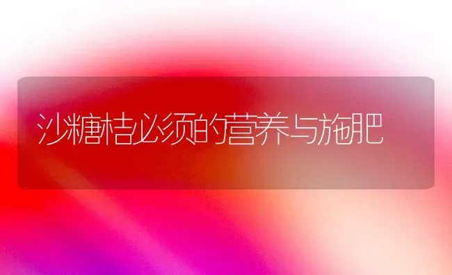 沙糖桔必须的营养与施肥 | 种植肥料施肥