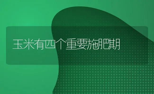 玉米有四个重要施肥期 | 种植肥料施肥