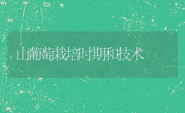 山葡萄栽培时期和技术 | 瓜果种植
