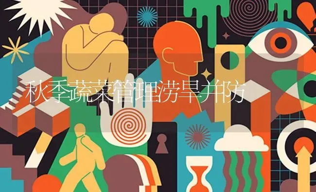 秋季蔬菜管理涝旱并防 | 蔬菜种植