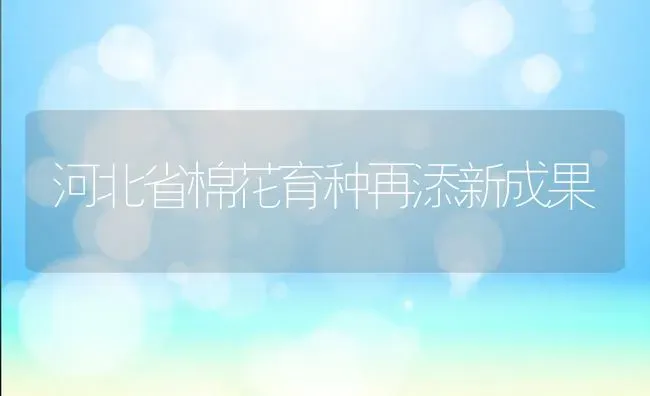 河北省棉花育种再添新成果 | 瓜果种植