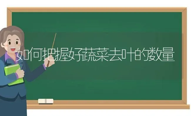 如何把握好蔬菜去叶的数量 | 蔬菜种植