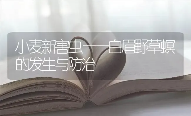 小麦新害虫——白眉野草螟的发生与防治 | 粮油作物种植