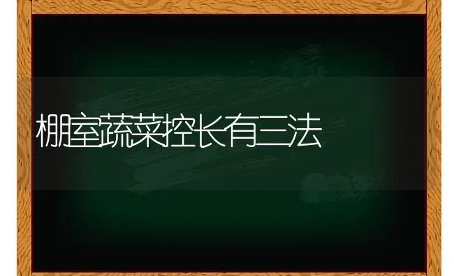 棚室蔬菜控长有三法 | 蔬菜种植