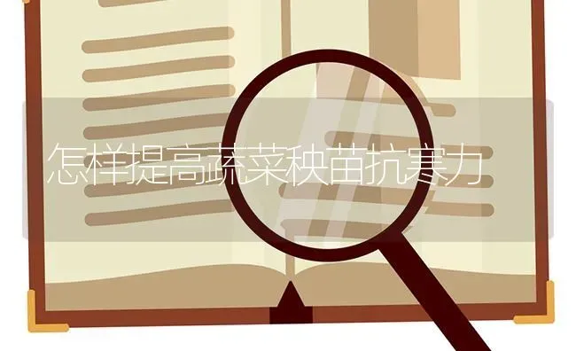 怎样提高蔬菜秧苗抗寒力 | 蔬菜种植