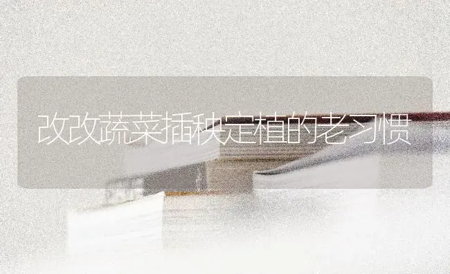 改改蔬菜插秧定植的老习惯 | 蔬菜种植