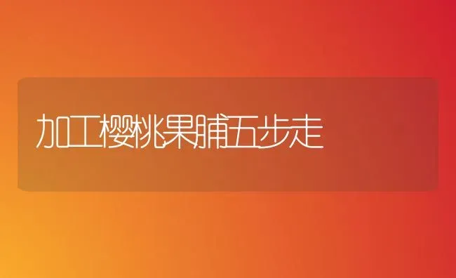 加工樱桃果脯五步走 | 瓜果种植