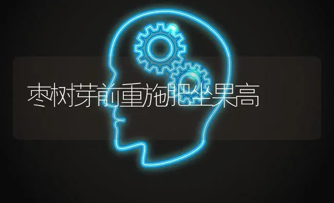 枣树芽前重施肥坐果高 | 瓜果种植
