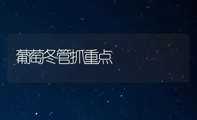 葡萄冬管抓重点 | 瓜果种植