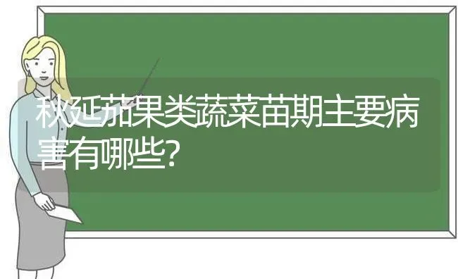 秋延茄果类蔬菜苗期主要病害有哪些？ | 蔬菜种植