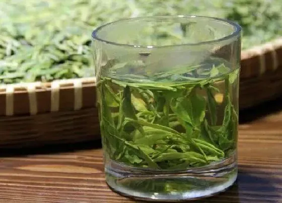 食用科普|绿茶是热性还是凉性