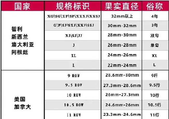 果实科普|车厘子的级别是怎么划分的（车厘子大小等级划分图JJJJ）