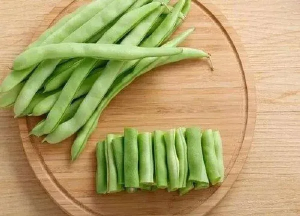 植物浇水|四季豆多少天浇一次水