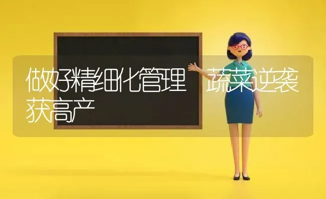 做好精细化管理 蔬菜逆袭获高产 | 蔬菜种植
