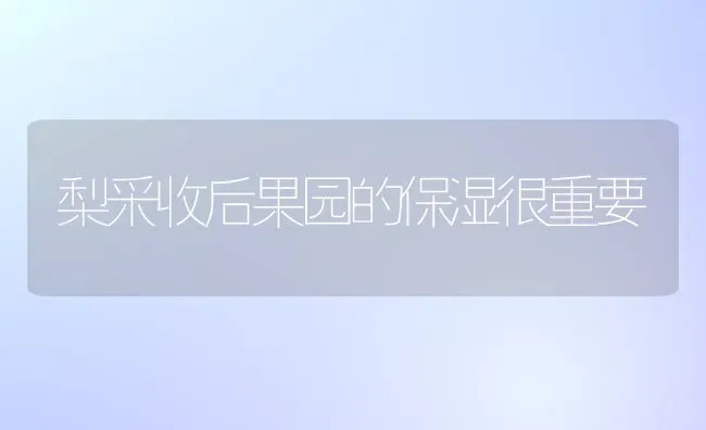 梨采收后果园的保湿很重要 | 瓜果种植