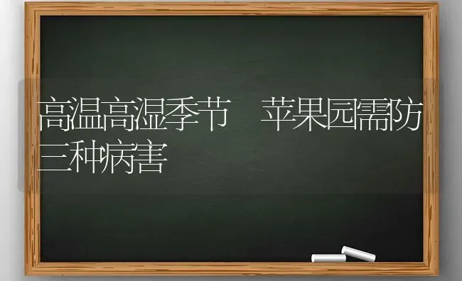 高温高湿季节 苹果园需防三种病害 | 瓜果种植