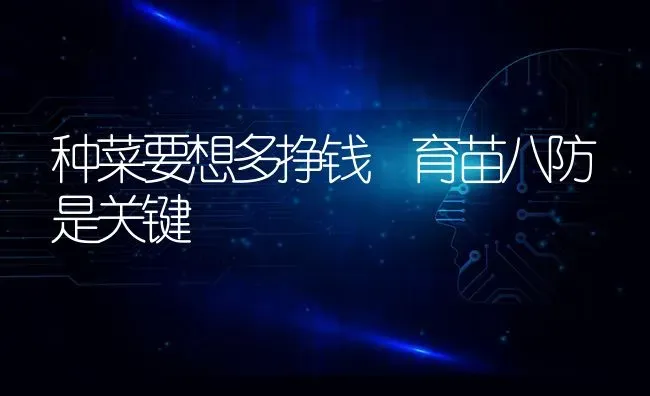 大白菜软腐病为啥这么难治 | 蔬菜种植