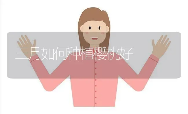 三月如何种植樱桃好 | 植物种植百科