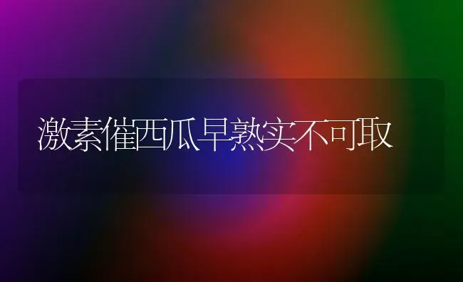 激素催西瓜早熟实不可取 | 瓜果种植