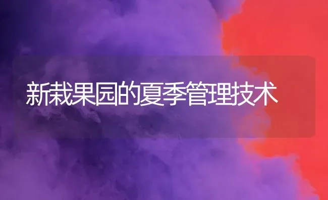 新栽果园的夏季管理技术 | 瓜果种植