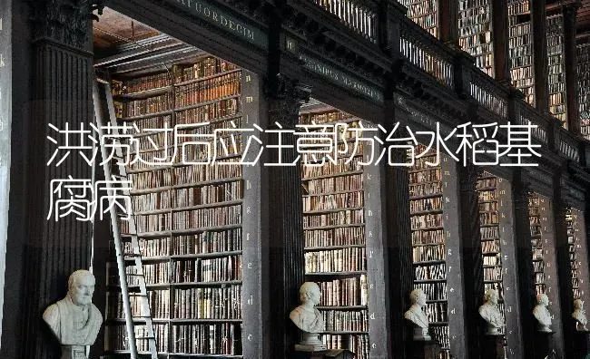 洪涝过后应注意防治水稻基腐病 | 粮油作物种植