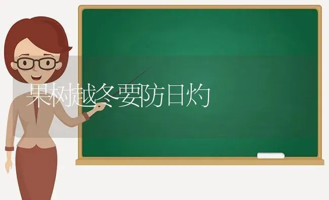 果树越冬要防日灼 | 瓜果种植