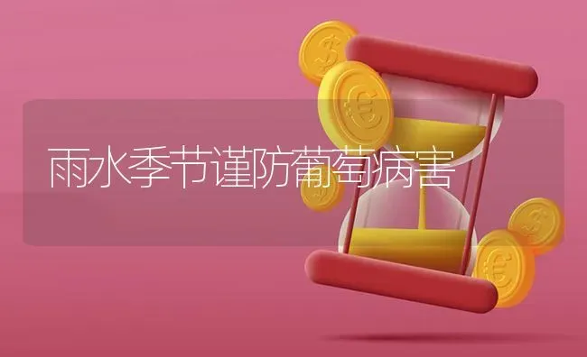 雨水季节谨防葡萄病害 | 瓜果种植