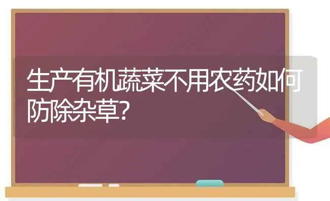 生产有机蔬菜不用农药如何防除杂草？ | 蔬菜种植