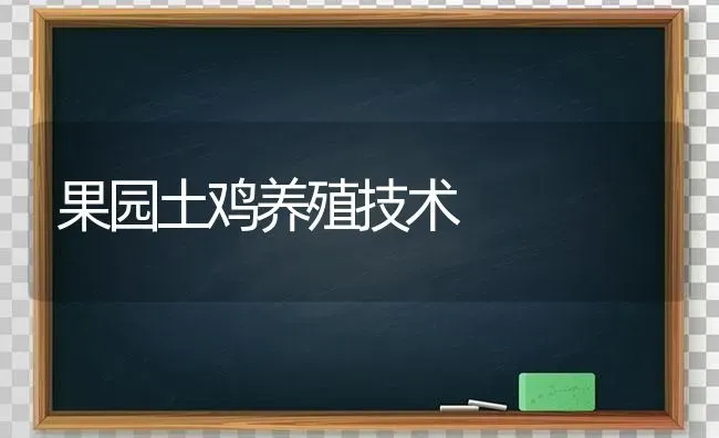 果园土鸡养殖技术 | 瓜果种植