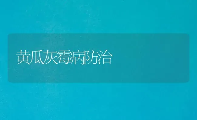 黄瓜灰霉病防治 | 蔬菜种植