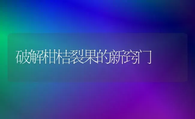 破解柑桔裂果的新窍门 | 瓜果种植