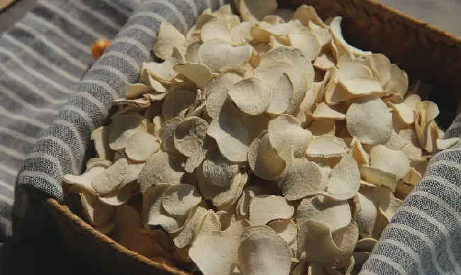 功效常识|白首乌的功效与作用及食用方法
