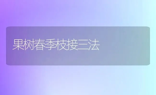 果树春季枝接三法 | 瓜果种植