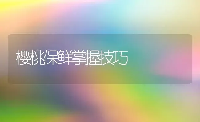 樱桃保鲜掌握技巧 | 瓜果种植