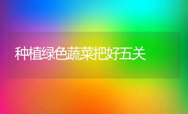 种植绿色蔬菜把好五关 | 蔬菜种植