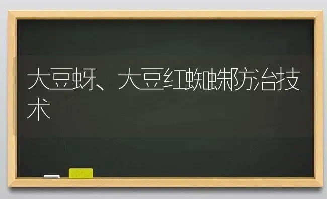 大豆蚜、大豆红蜘蛛防治技术 | 粮油作物种植