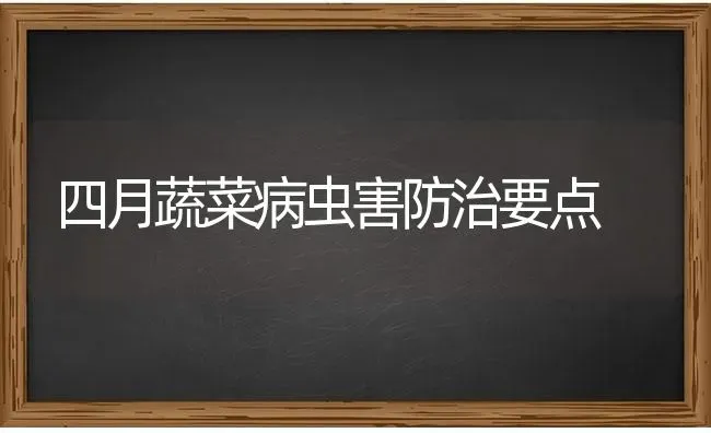 四月蔬菜病虫害防治要点 | 蔬菜种植