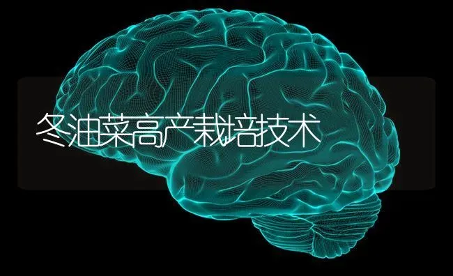 冬油菜高产栽培技术 | 粮油作物种植