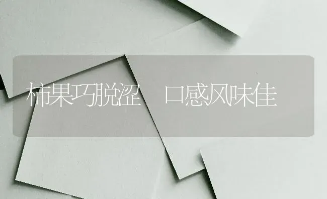 柿果巧脱涩 口感风味佳 | 瓜果种植