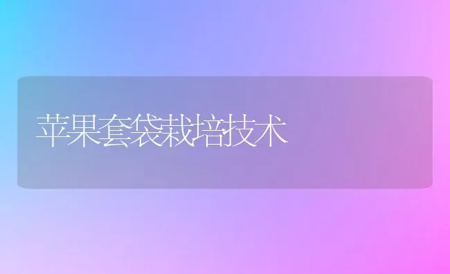 苹果套袋栽培技术 | 瓜果种植