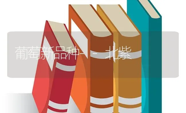 葡萄新品种--北紫 | 瓜果种植