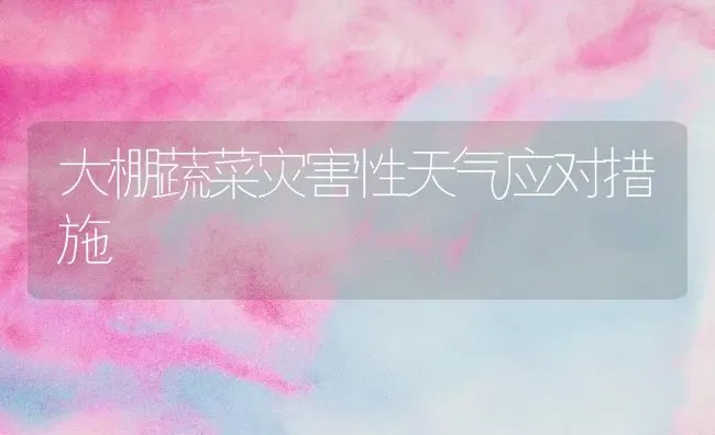 大棚蔬菜灾害性天气应对措施 | 蔬菜种植