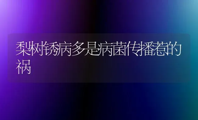 梨树锈病多是病菌传播惹的祸 | 瓜果种植
