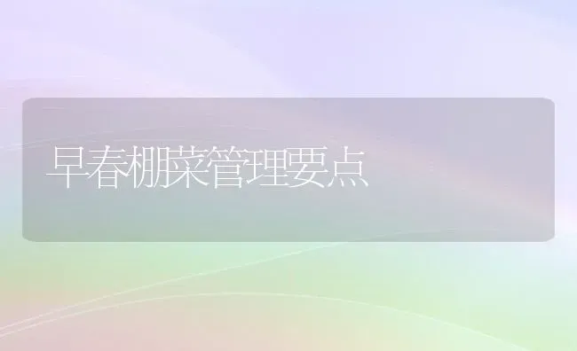 早春棚菜管理要点 | 蔬菜种植