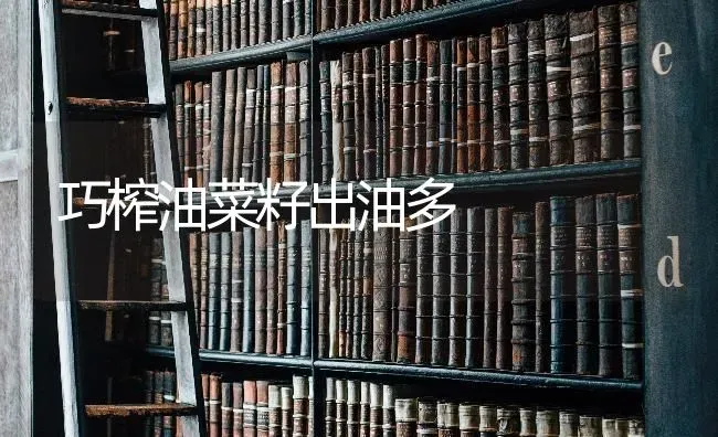巧榨油菜籽出油多 | 粮油作物种植